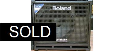 Roland D-BASS 115X